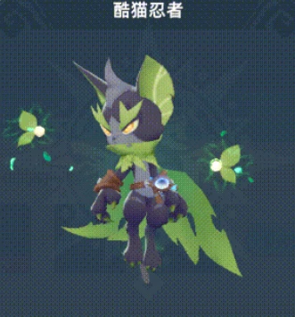 猎风传说酷猫忍者如何搭配,猎风传说酷猫忍者搭配指南