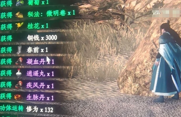 下一站江湖2逍遥丸获取方法,下一站江湖2逍遥丹作用详解