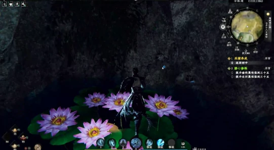 下一站江湖2白莲神地宫通关攻略,下一站江湖2白莲神地宫详细流程与技巧