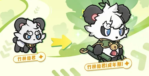 杖剑传说竹林仙君强度解析,杖剑传说竹林仙君角色表现与实战评测