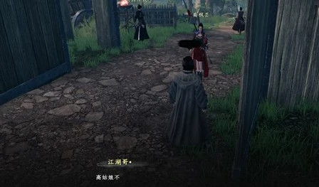 下一站江湖2高枫芸任务全解析,下一站江湖2高枫芸剧情与支线任务指南