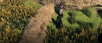 下一站江湖2花安位置全解析,下一站江湖2手游花安在哪详细指南