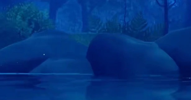 我是小鱼儿第二关怎么过,我是小鱼儿第二关通关技巧与详细攻略