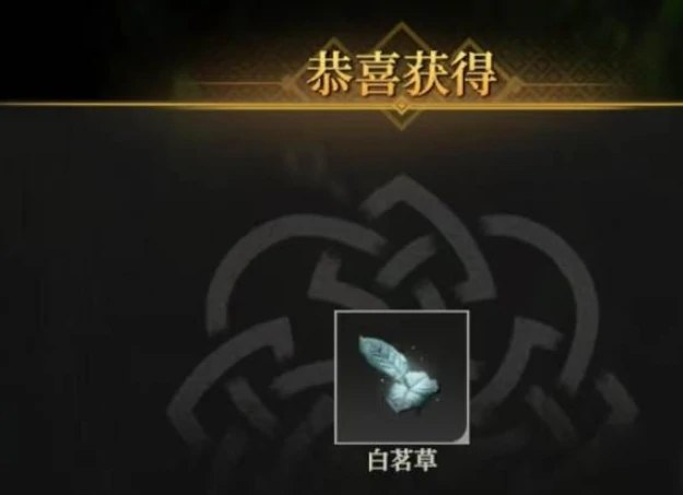 地下城堡4白茗草获取攻略,地下城堡4白茗草怎么获得