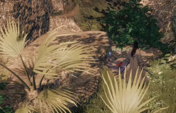 下一站江湖2花安位置全解析,下一站江湖2手游花安在哪详细指南