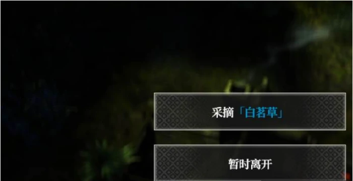 地下城堡4白茗草获取攻略,地下城堡4白茗草怎么获得