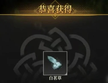 地下城堡4白茗草位置在哪,地下城堡4白茗草获取方法详解