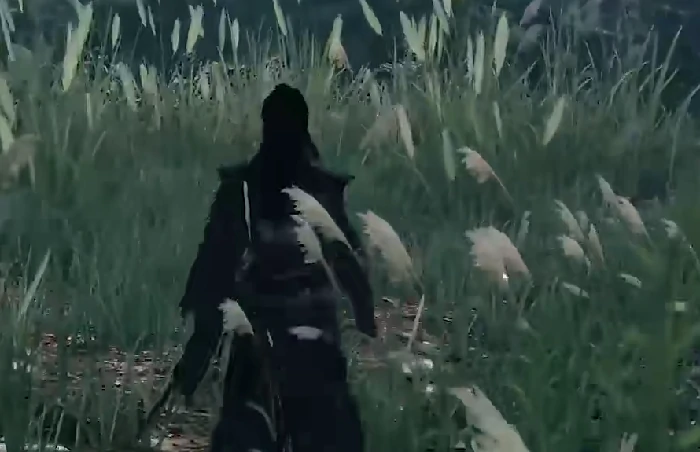 下一站江湖2探索水井全攻略,下一站江湖2水井任务详细流程与解谜技巧