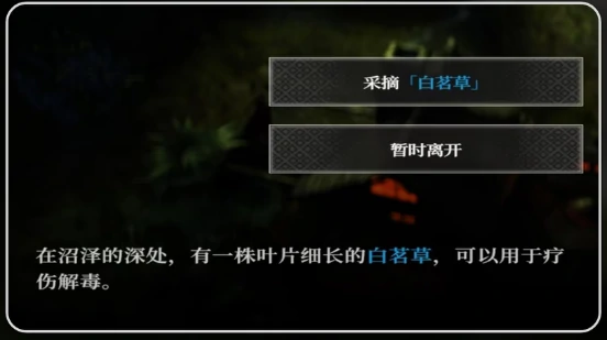 地下城堡4白茗草位置一览,地下城堡4白茗草高效获取攻略