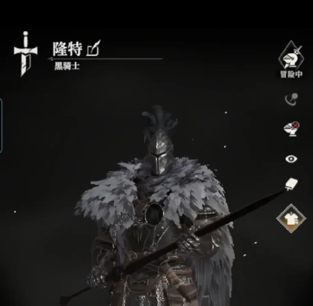 地下城堡4黑骑士玩法全解析,地下城堡4黑骑士技能搭配与通关技巧