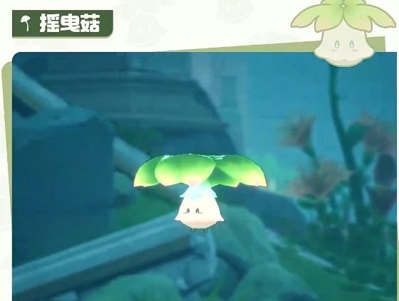 二重螺旋打火鸡强度解析,二重螺旋打火鸡实战表现与技能搭配分析