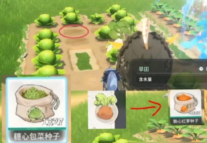 蓝色星原旅谣种菜玩法详解,蓝色星原旅谣种菜技巧与收益全攻略