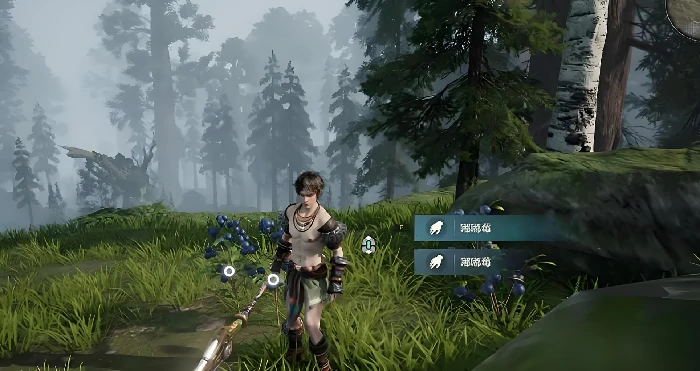 荒野起源森林地图全解析,荒野起源森林地形与资源点位详解