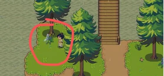 江城创业记材料全解析,江城创业记材料获取方法与攻略