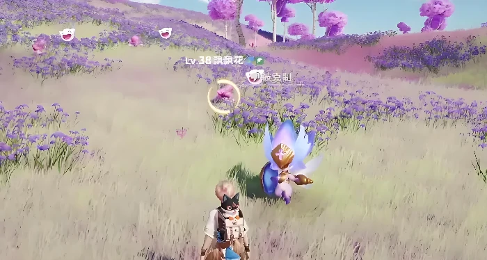 伊莫花舞兰怎么获取,伊莫花舞兰获取方法全解析