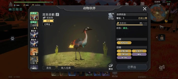 荒原曙光宠物系统怎么玩,荒原曙光宠物养成与进阶技巧全解析