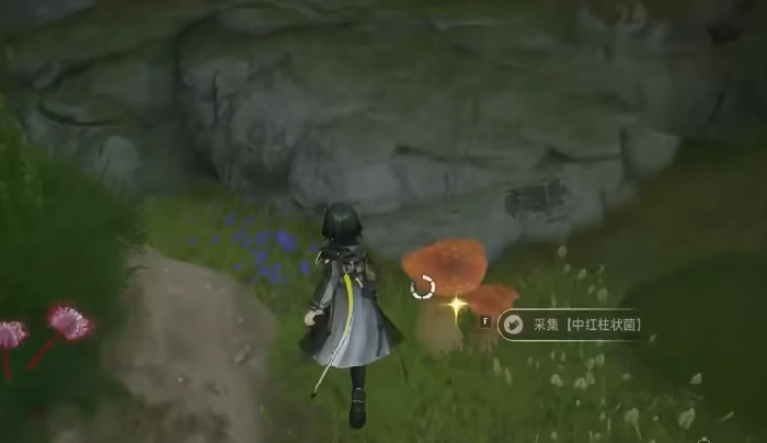 明日方舟终末地大蘑菇获取攻略,明日方舟终末地大蘑菇资源获得方法分享,明日方舟