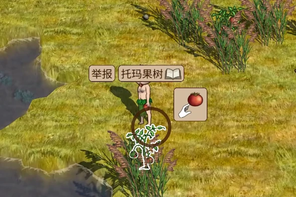 村落人生新手攻略,村落人生开局生存技巧与资源获取指南