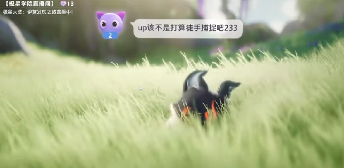 伊莫手游宠物捕捉攻略,伊莫手游如何高效使用伊莫捕捉器