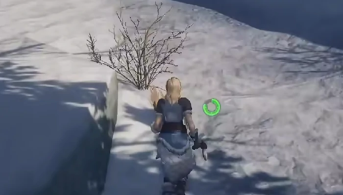 荒原曙光野猪坐骑获取全攻略,荒原曙光野猪捕捉与骑行技巧分享