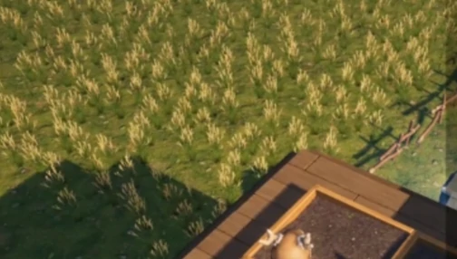 荒原曙光防腐棉种植全攻略,荒原曙光高效种植技巧与步骤详解