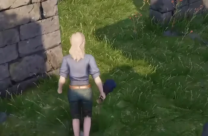 荒原曙光野猪坐骑获取全攻略,荒原曙光野猪捕捉与骑行技巧分享