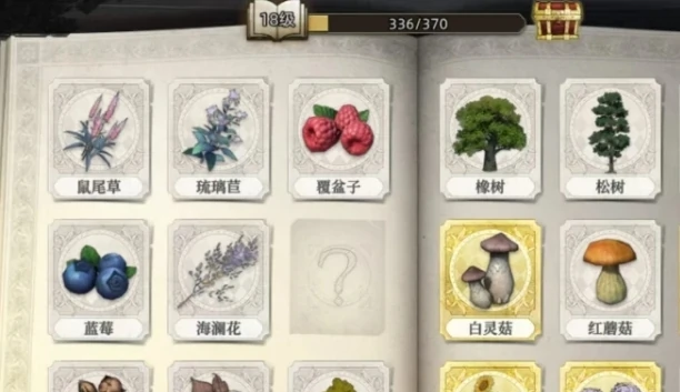 荒原曙光防腐棉种植全攻略,荒原曙光高效种植技巧与步骤详解