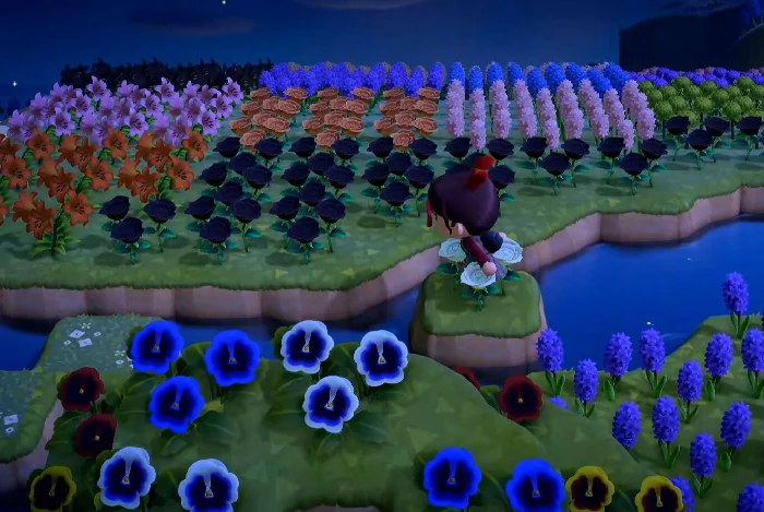 星布谷地内测时间曝光,星布谷地首次测试详情揭秘