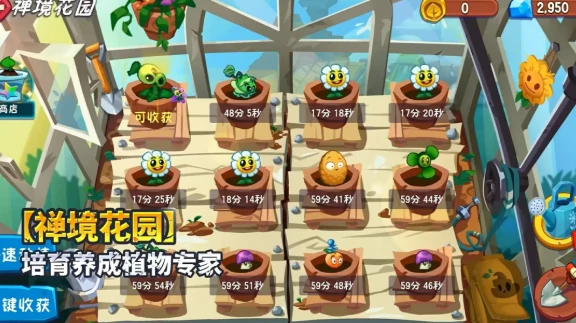 植物大战僵尸3与2数据互通吗,植物大战僵尸3和2玩法差异全面对比
