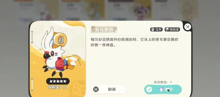 崩坏因缘精灵彩花鹦鹉怎么样,崩坏因缘精灵彩花鹦鹉属性与技能解析