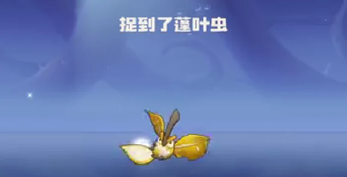 洛克王国世界蓬叶虫获取方法,洛克王国世界蓬叶虫捕捉技巧与刷新地点