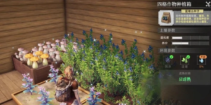 荒原曙光怎么浇水,荒原曙光种植浇水技巧全解析