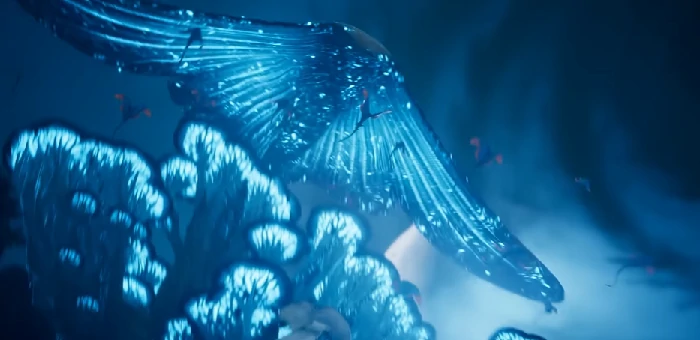 永恒之塔2多少个G,永恒之塔2安装包多大容量