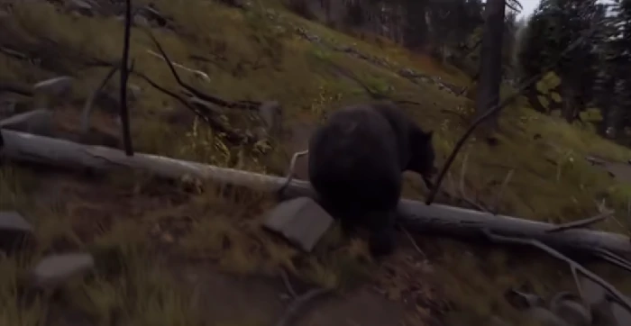 猎人之路打动物什么位置好打 猎人之路动物狩猎最佳点位攻略