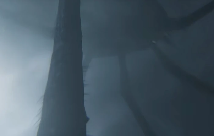 凡应上线了吗,凡应游戏最新上线时间及测试进展揭秘