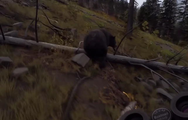 猎人之路怎么打熊,猎人之路打熊方法与技巧详解