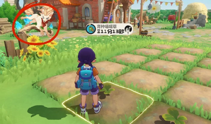 洛克王国世界家园玩法全解析,洛克王国手游家园系统详细介绍