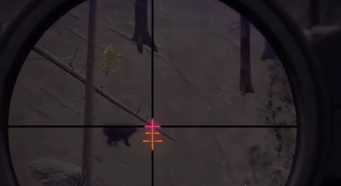 猎人之路打动物什么位置好打 猎人之路动物狩猎最佳点位攻略