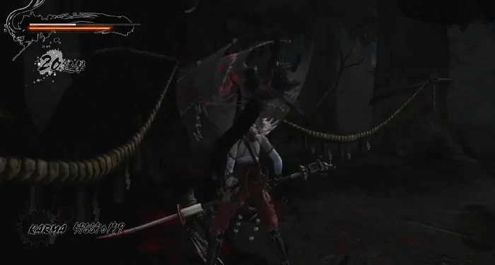 忍者龙剑传4红叶角色强度解析,忍者龙剑传4红叶技能与实战表现评测