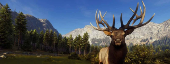 猎人之路打动物什么位置好打 猎人之路动物狩猎最佳点位攻略