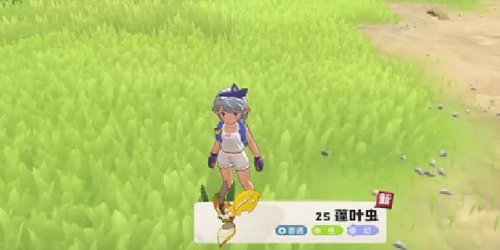 洛克王国世界蓬叶虫获取方法,洛克王国世界蓬叶虫捕捉技巧与刷新地点