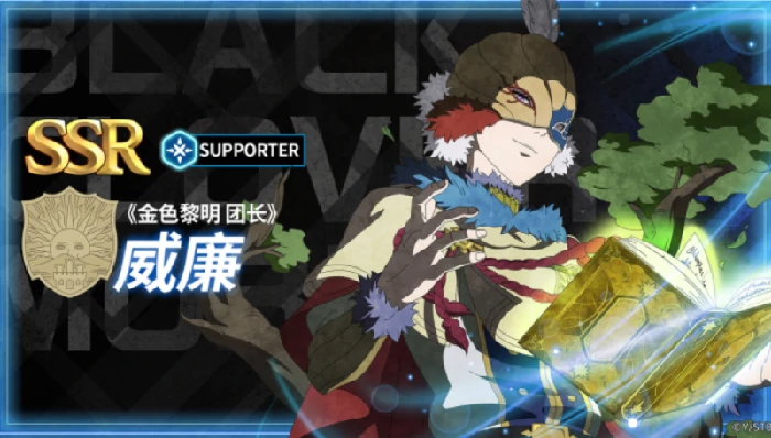 黑色四叶草魔法帝之道,威廉凡金斯角色强度解析,, 黑色四叶草手游,威廉技能搭配与实战表现全面介绍