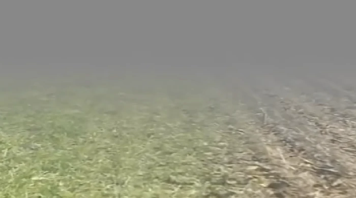 约翰的农场通关全攻略,约翰的农场高效通关技巧与实用指南