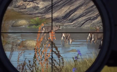 猎人之路白尾鹿位置全解析,猎人之路白尾鹿快速找寻技巧