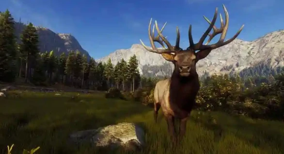 猎人之路白尾鹿位置全解析,猎人之路白尾鹿快速找寻技巧