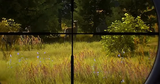 猎人之路有哪些动物,猎人之路全动物种类详细介绍