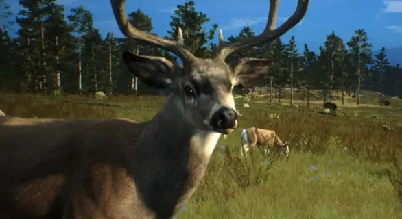 猎人之路有哪些动物,猎人之路全动物种类详细介绍