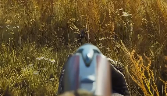 猎人之路有哪些动物,猎人之路全动物种类详细介绍