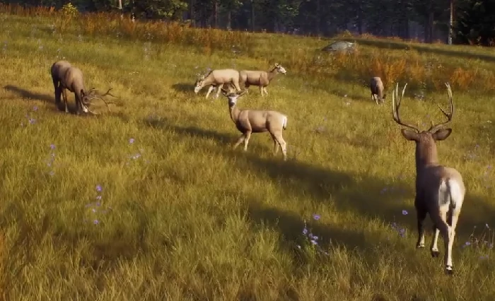 猎人之路可以钓鱼吗,猎人之路钓鱼玩法与技巧全解析