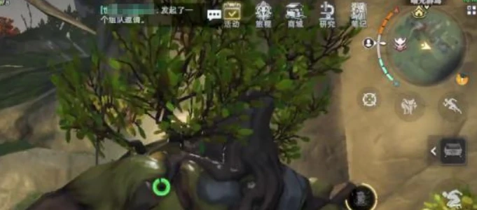 王者荣耀荒原曙光唤雨者大树对抗策略与技巧